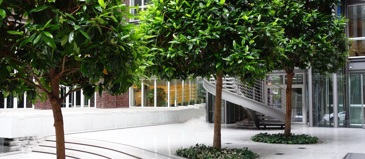 Grossraumbepflanzung