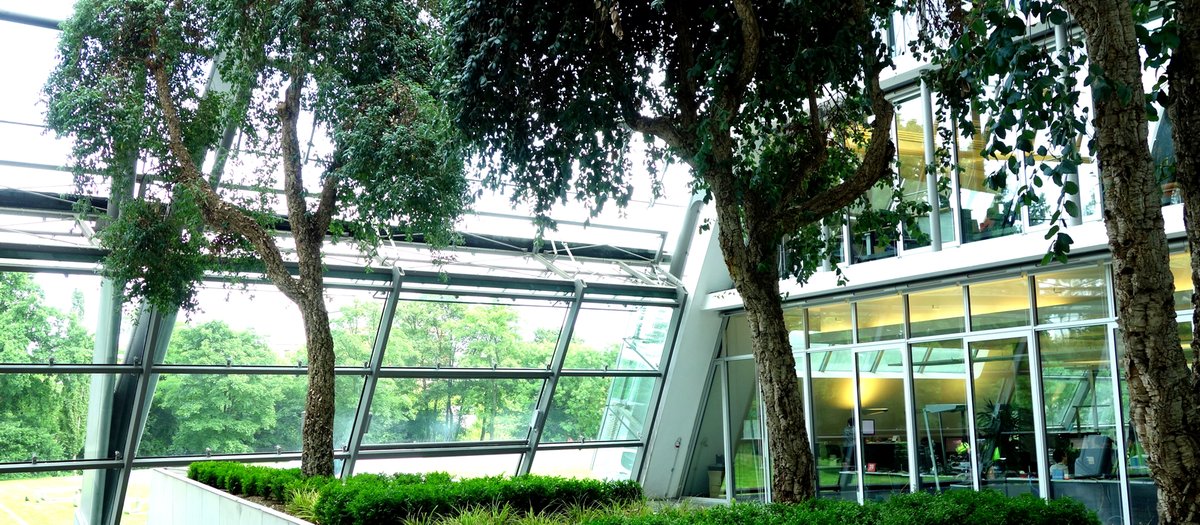 Grossraumbepflanzung